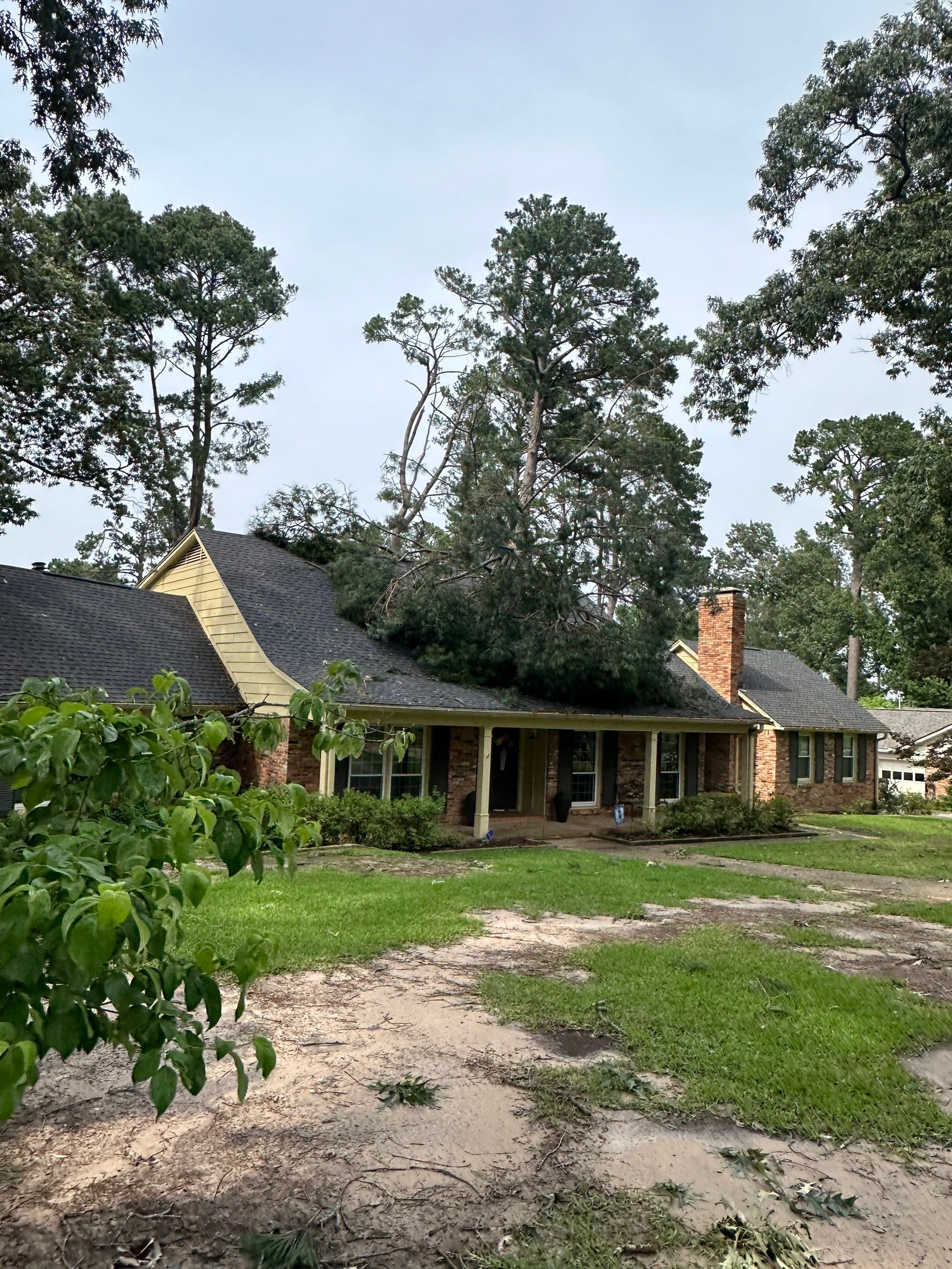 Fallen Tree / Debris Repair